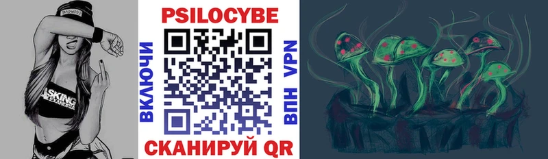 Псилоцибиновые грибы Psilocybine cubensis цена blacksprut Инта